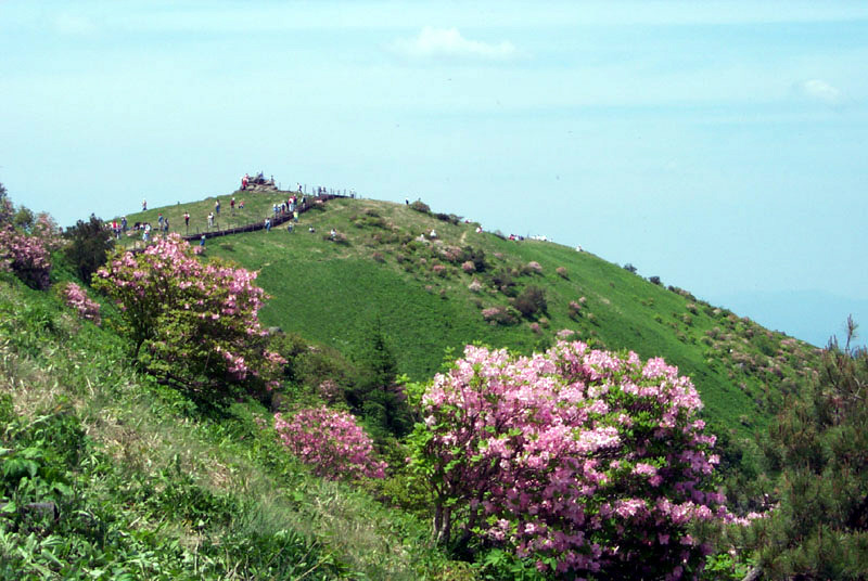 소백산 이미지