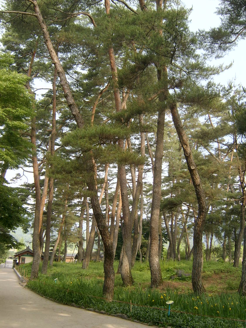 선비촌 이미지