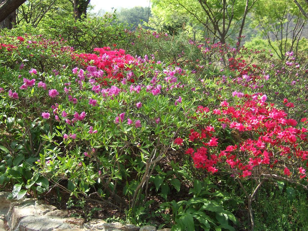 이미지를