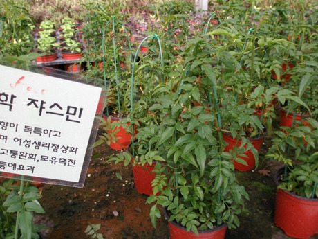 밤두둑농원 이미지