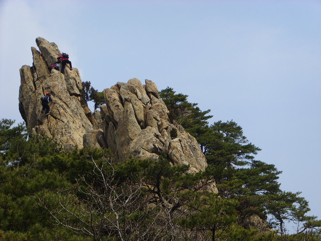 서리당 이미지