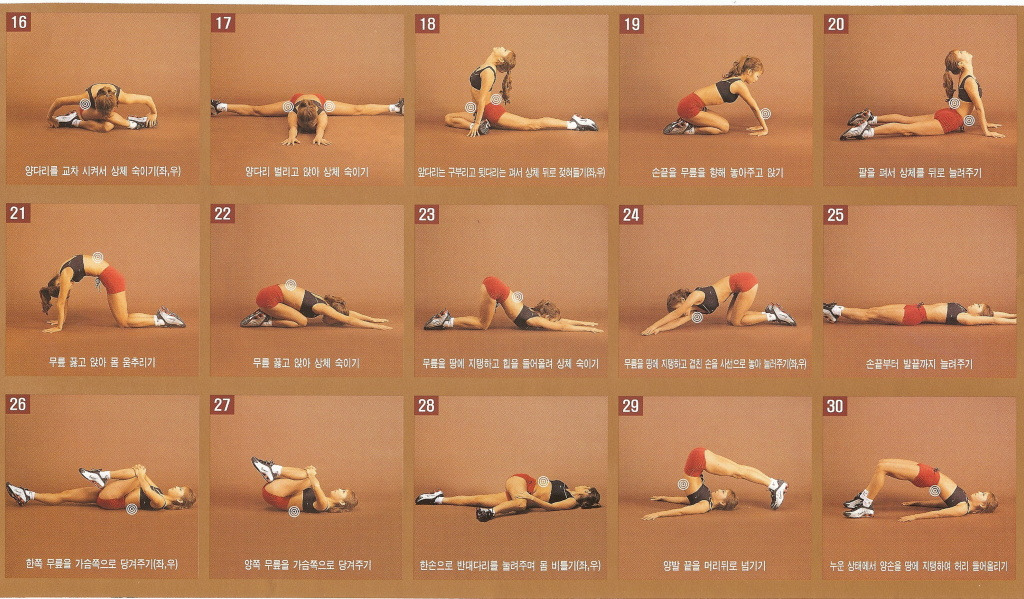 웰빙스트레칭 이미지