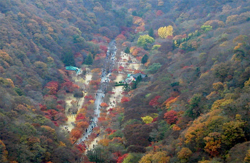 내장산식품 이미지