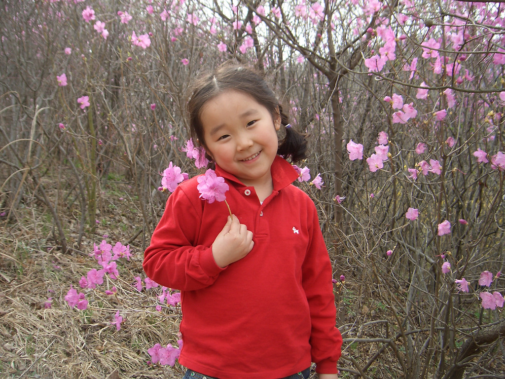 준선 이미지