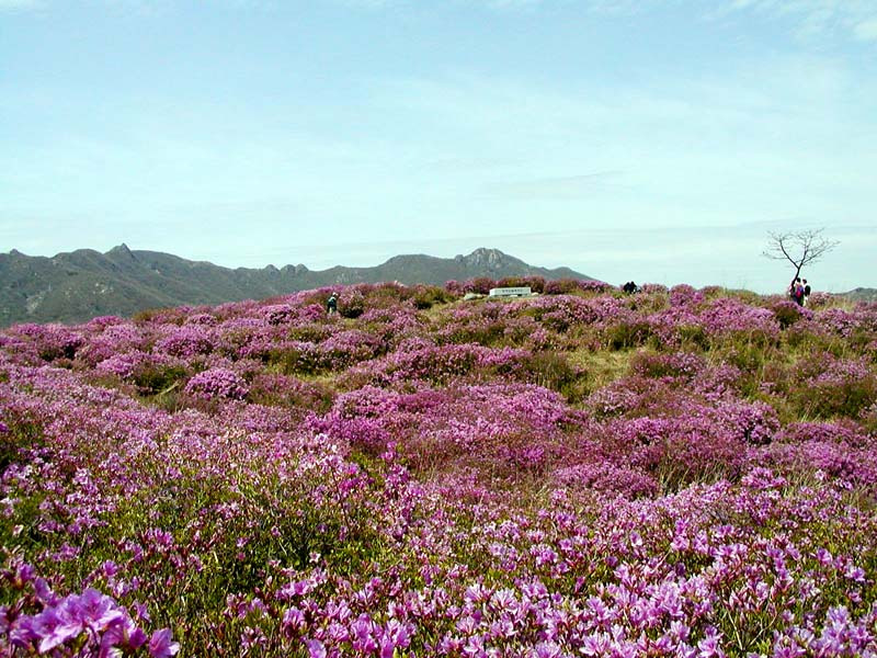L.G산청 이미지