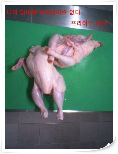 암바치킨 이미지