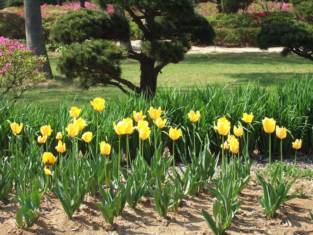 이미지를